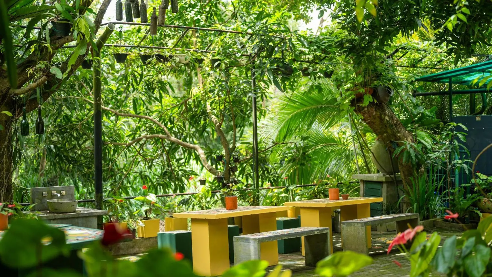 **** Affittacamere Hotel Aathma Colombo House Sri Lanka